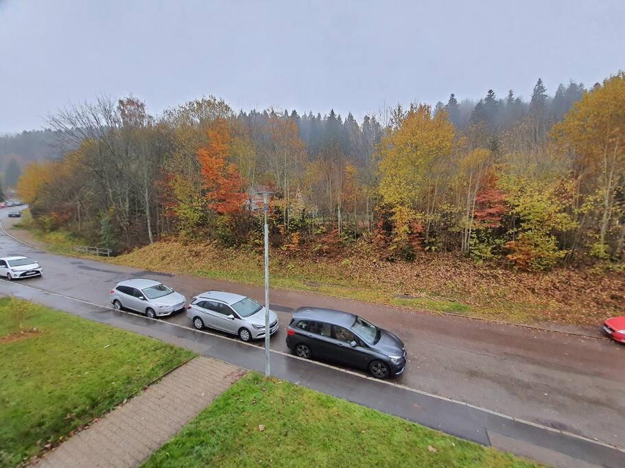 טריברג Two-Bedroom Apartment Near Triberg Waterfall מראה חיצוני תמונה