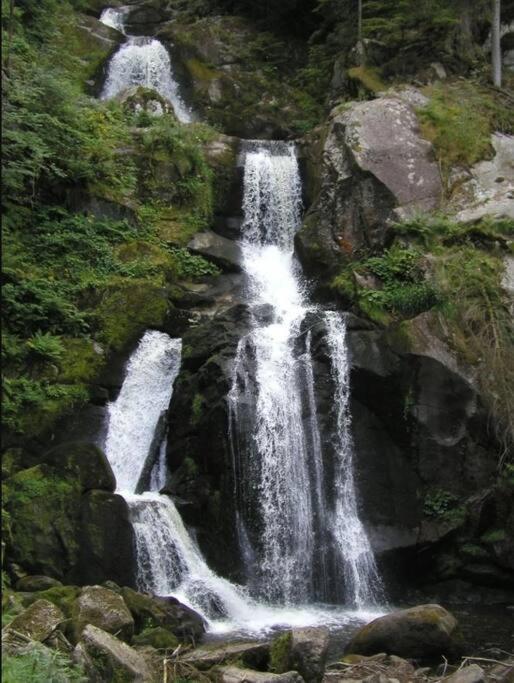 טריברג Two-Bedroom Apartment Near Triberg Waterfall מראה חיצוני תמונה