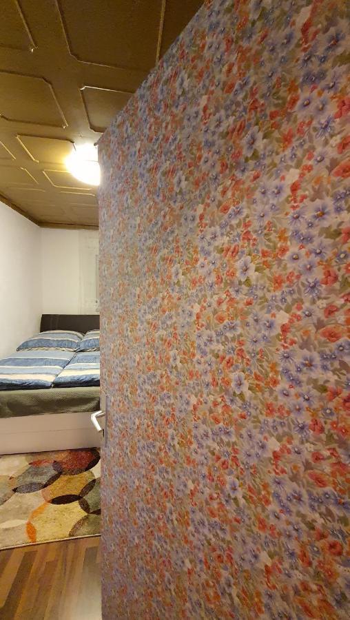 טריברג Two-Bedroom Apartment Near Triberg Waterfall מראה חיצוני תמונה
